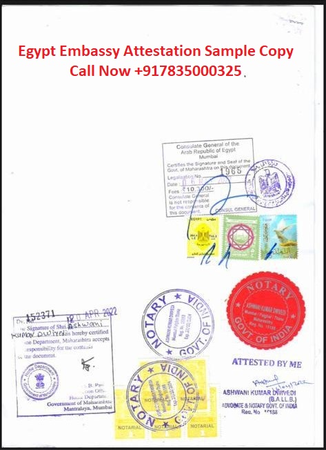 Egypt Embassy Attestation for Commercial Documents